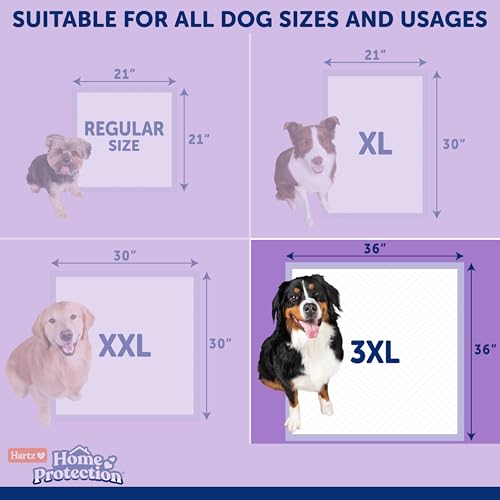 Image of Hartz Home Protection Lavender Scent Odor Eliminating Dog Pads, 3XL, 30ct | Thicker Quilted, Super Absorbent, Quick Drying, No Leaks, No Odors, FlashDry Technology