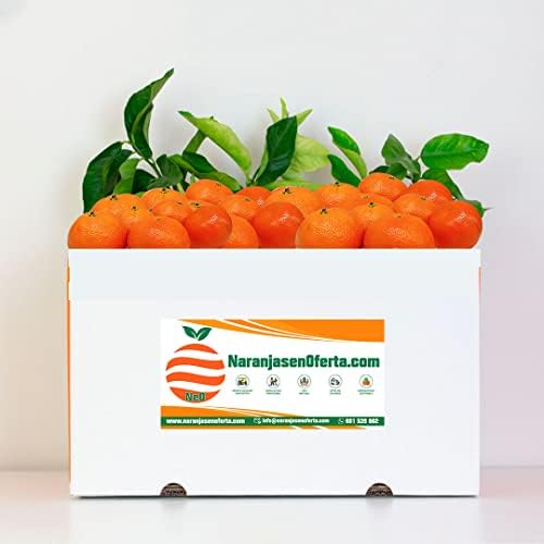 MANDARINAS DE VALENCIA. CAJA DE 5KG