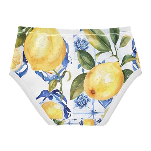 Vintage Lemon Blue Underwear Toddler Girl, Kids Underwear Girls, 2T–8 Years2