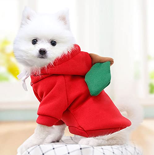 XIAOYU Apple Pet Costume Christmas Dog Fun Fruit Hoodie Fleece Dog Sweatshirt for Halloween Cosplay Puppy Jumpsuit Cat Clothes(S) - Image 3