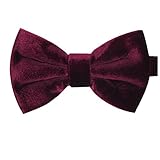 iHomor Men's Velvet Bow Tie Many Colors (vine red)