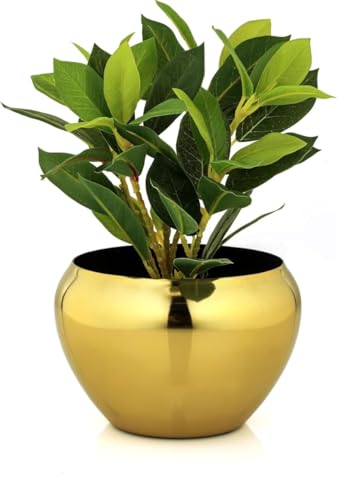 Superstar Cozy Corner Garden Planter Pot – Golden Finish | Aesthetic & Modern Style Planter Pot For Botanicals & Flowers | Durable & Sleek Pot For Rs. 30 @ 98 %