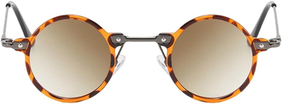 Small Round Sunglasses Men Women Retro Steampunk Glasses Gradient Clear Lens
