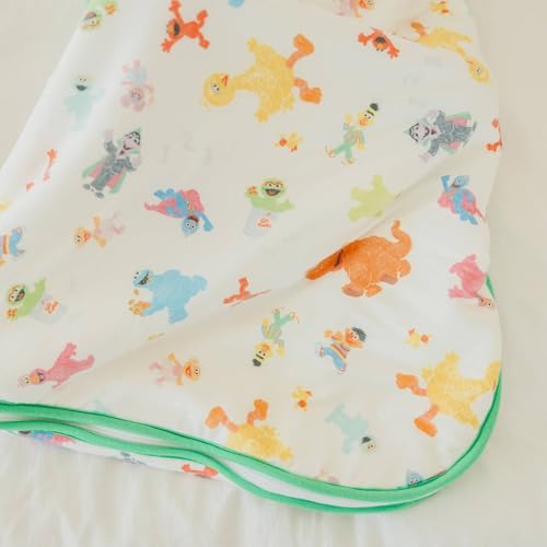 Image of Copper Pearl Baby Sleep Sack, Sesame Friends - Wearable Blanket for 0-6 Months, Sleeveless Sleep Sack for Baby Boy or Girl