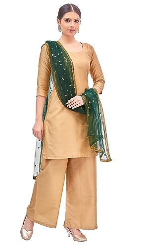 Studio Shringaar Women's Net Embroidered Full Size Dupatta (42" X 2.50 Meters)