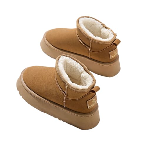 [] Xm[u[c fB[X N hV[Y ۉ g Xm[V[Y h h C ~ ~p  ʋ ʊw