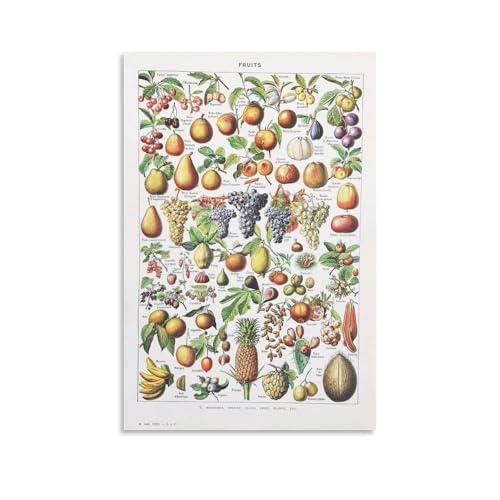 Impression sur toile LEMNHCEGN FRUITS vintage 60x90 cm tableau mural salon