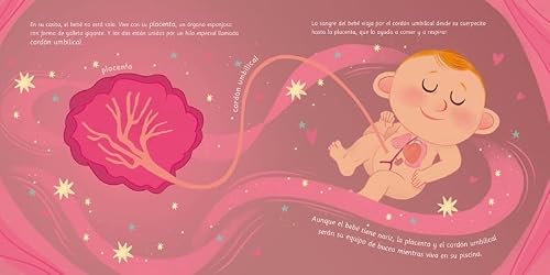 Miniatura 3 de Nace Un Bebé. Un Cuento Sobre Lo Que Pasa Dentro De La Barriga De Mamá Pequeños Curiosos
