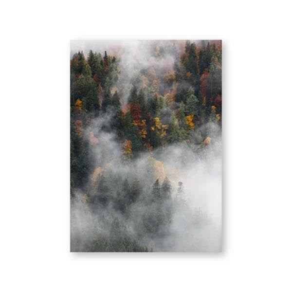 Impression sur toile photographie forêt montagne brume XENITE 42x60cm
