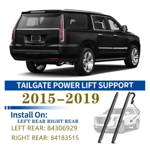 Coffre bloqué ? Vérin de hayon électrique pour Cadillac Escalade ESV 2015-2019 gauche - 5