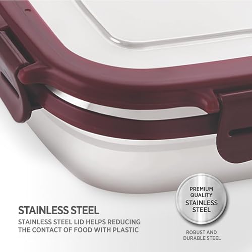 Image of Dhara Stainless Steel Blaze Tiffin Box for School, 800ml Airtight Lunch Box 600ml with Mini Container 200ml and Spoon - Maroon