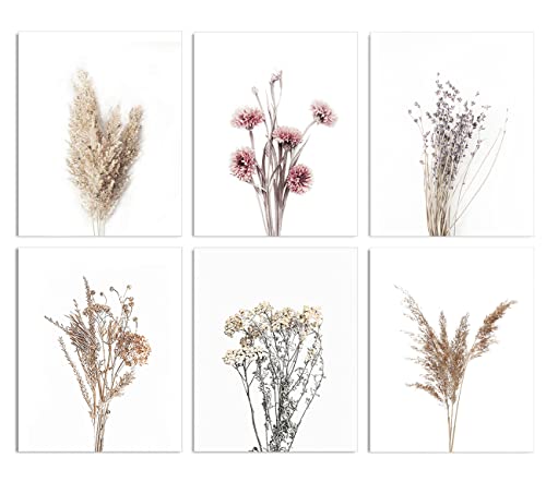 Hw Hongwu Pampas Grass Canvas Wall Art Dried Flower Artworks Beige Plant Pictures Print Minimalist Paintings 8X10 Inches Set Of 6 Unframed For Home Décor #TOP6