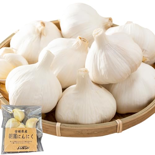 西予市産 朝霧にんにく(乾燥小袋)1袋20g入り 5〜65袋セット 愛媛県 西予市 (5袋セット)