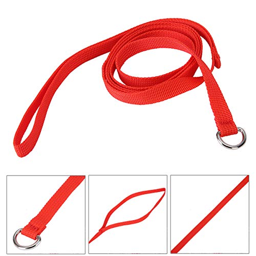 6Pcs Dog Slip Leads D Ring Kennel Nylon Rope For Pet Animal Control Grooming Shelter Rescues Doggy Daycare #TOP1