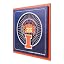 Illinois Fighting Illini