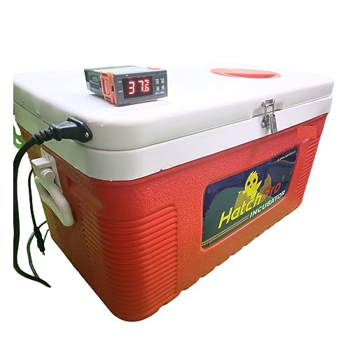 Hatchpro 80 Eggs semi Automatic Incubator for Egg Hatching, with Fibre Body, Low Power cosumption, Red & White