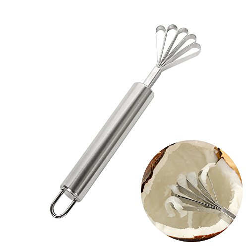 GardenHelper Stainless Steel Coconut Meat Removal Knife, Coconut Meat Grater Slicer Coconut Scraper
