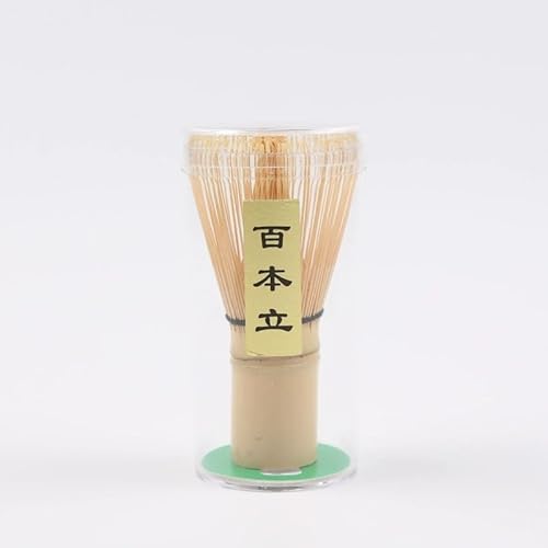 yGreen&Cozy z S{    |   AĊ  `IH|i 100{ (S{)