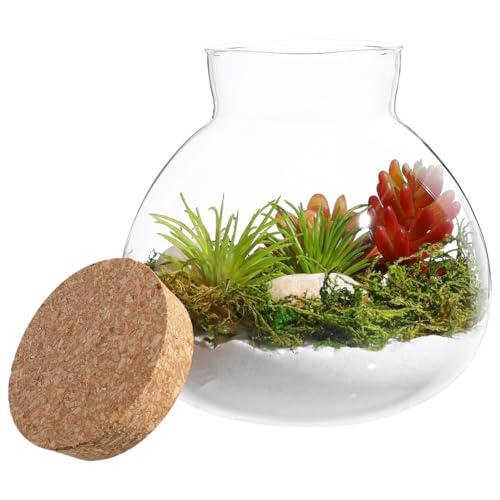 DOITOOL Tarro redondo de vidrio para terrario, para plantas suculentas, brotes de terrario, jarrón con mensaje de deseos, botella de deseos con tapa de corcho, tarro de, maceta de vidrio