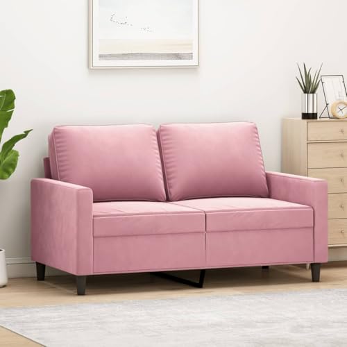 Homgoday Sofa de Salon,Sofá Moderno,Sofá Cama Sofá de 2 plazas Terciopelo Rosa 120 cm
