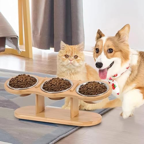 Gamelle inclinée 15 degrés pour chat finis les reflux gastriques - 6