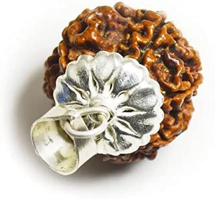 सात मुखी 7 मुखी रुद्राक्ष ओरिजिनल Saat Mukhi Rudraksha Original Certified Religious 7 मुखी रुद्राक्ष ओरिजिनल Saptmukhi Mukhi Rudraksha Silver Cap 7 Mukhi Rudraksh सप्त मुखी रुद्राक्ष