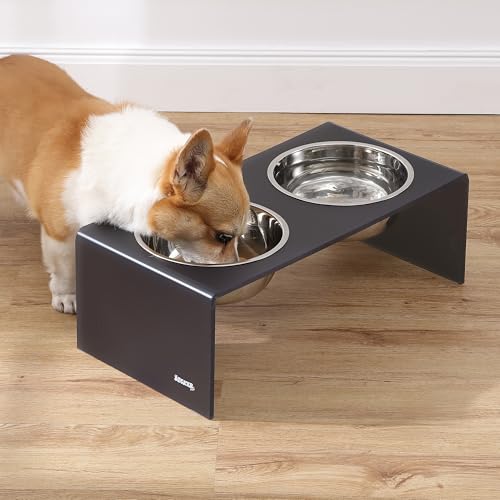 THE LICKER Store DBL2001J Keaton 7.5" Medium/Large Modern Acrylic Rectangular Elevated Pet Feeder with 54oz 2-Stainless Steel Bowls, Dark Gray/Chrome by THE LICKER STORE - Image 2