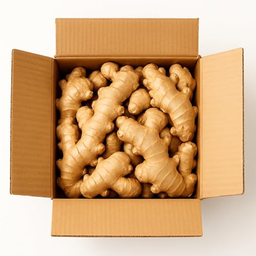 Fresh Ginger Root Cooking, Juicing, and Tea by Nine Shani (5 lb)