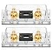 TopstrongGear Solid Brass 0/2/4 Gauge 100Amp ANL Fuse Holder with 100Amp Fuses(2 Pack) (100 Amp)