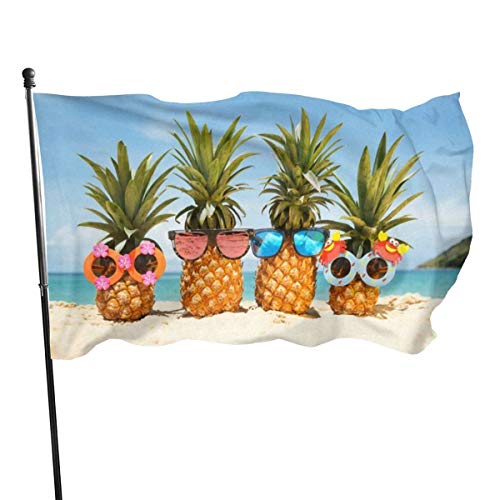 Comparison of Best Outdoor Flags Pineapple Top Picks 2023 Reviews