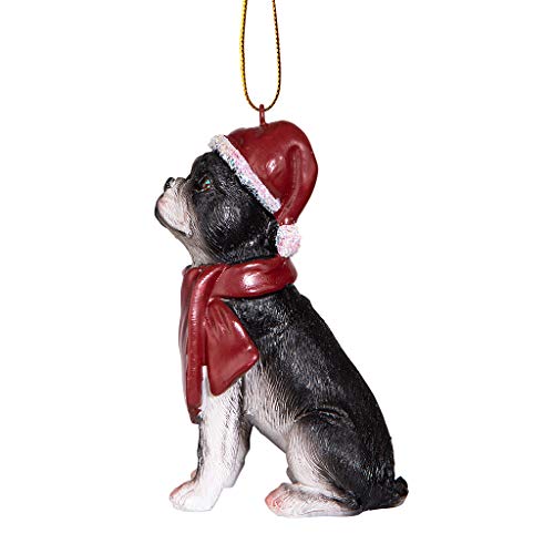 Design Toscano Boston Terrier Cane delle festività...