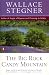 The Big Rock Candy Mountain (Contemporary American Fiction)