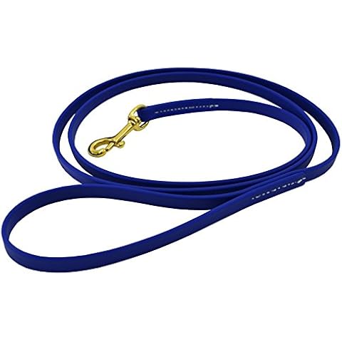 J&J Dog Supplies Biothane Dog Leash, 1/2" Wide by 6' Long, Blue Cover