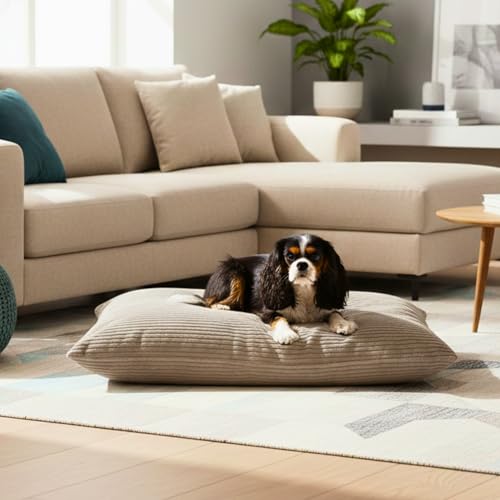 4L Textil Molly Hundekissen Cord Beige Hundebett mittelgroße Hunde mit Bezug und Reißverschluss Hundebett Cord kuscheliges Hundekissen waschbar (80x60 cm, Latte(Stripes))