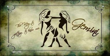 SMART BLONDE Gemini Zodiac Novelty Metal Bicycle Plate BP-1330