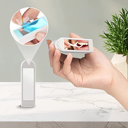 Portable Floss Dispenser - Refillable Travel Dental Floss Picks Holder With Mirror, Portable Floss Organizer Case With 100 Count Floss Picks, 2 Pack #TOP2
