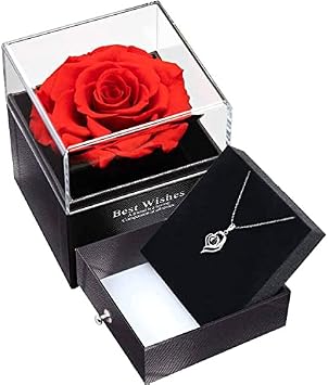 Preserved Rose, Eternal Rose Box Gift Set with Love You Necklace in 100 Languages, Forever Rose Box Gift for Women Mom Wife Girls, Mothers Day Valentines Day Anniversary Birthday Wedding
