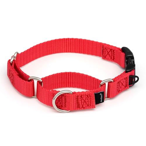 PetSafe Martingale Collar with Quick Snap Buckle - Adjustable No-Slip Design for Better Leash Control - Durable Nylon Material - Humane Gentle Correction for Safer Training - Small - Red