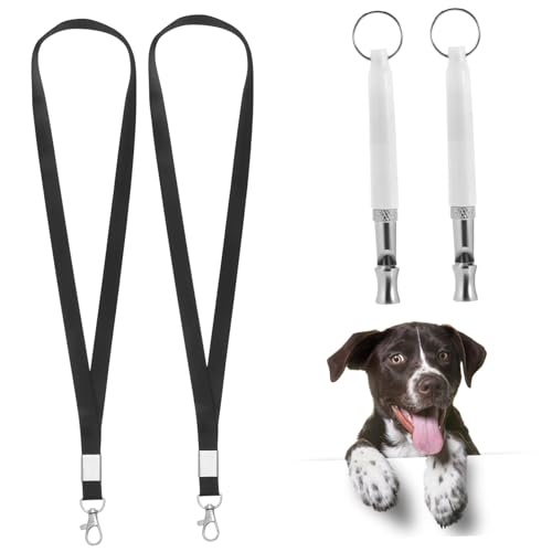 Luxshiny 2 PzCbX zCg yʌgїp ybg]ip  Xgbvt ^^Ή