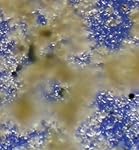 Review Image by Demetrius Demetrius