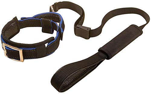 Creation Core 1 Set Adjustable Dog Seat Belt & Dog Collar with Elastic Handle Soft Padded Premium 2 in 1 Reflective Pet Leash M(neck girth 16-20") Black CC-70120-QY1-1-2