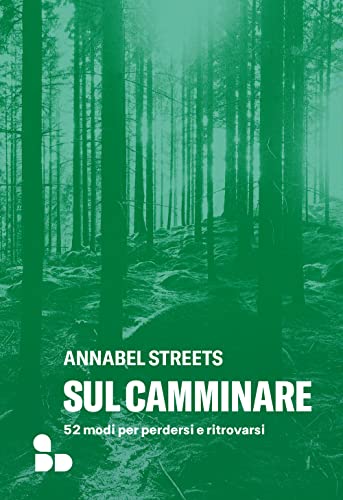 Sul camminare. 52 modi per perdersi e ritrovars