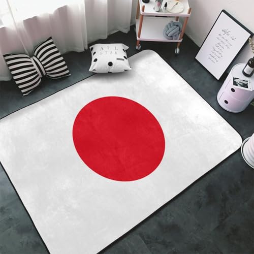 �J�[�y�b�g ���{�̍��� ���̊� �����` ���O�}�b�g ���O �O�~ �ėp �h�_�j �R�� �h�� �h�L �ӂ���Ǝ�G�� ������� �D�����t�����l�����O ���g�[�Ή� �􂦂� ����~�ߕt �l�C �v���[���g 100 × 150 cm HNV192VC