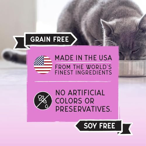 Image of Blackwood Bounty Dry Cat Food, Red Meat Recipe for All Life Stages, 10 Pound Bag, High Protein, Grain Free