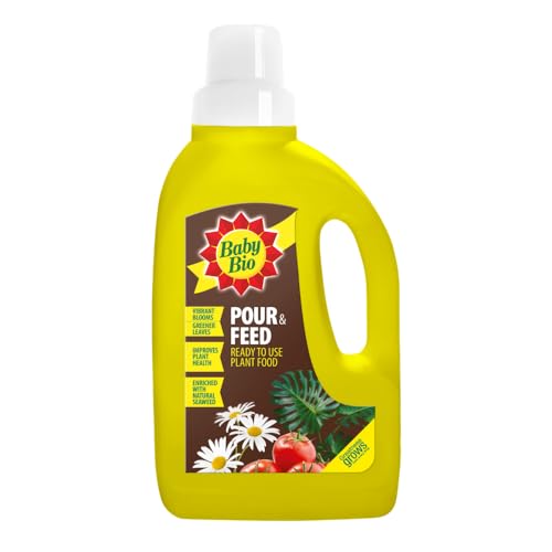 Baby Bio Pour & Feed Liquid Plant Food 1L - Ready To Use Houseplant Food - with Seaweed Extract - to Stimulate Healthy Growth and Vibrant Flowering - Indoor Use Plant Nutrition
