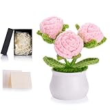 MAIBAOTA Birthday Gifts for Women Pink Roses Crochet Flowers Handmade Forever Rose Knitted Flower Bouquet Potted Plants Cute Small Birthday Gift for Girls Mum Nanny Desk Decorations Accessories