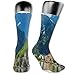 Produktbild Papalikz Compression Medium Calf Socks,Natural View Of Hallstatt In Austria Mountains Forest Town Houses Clear Sky