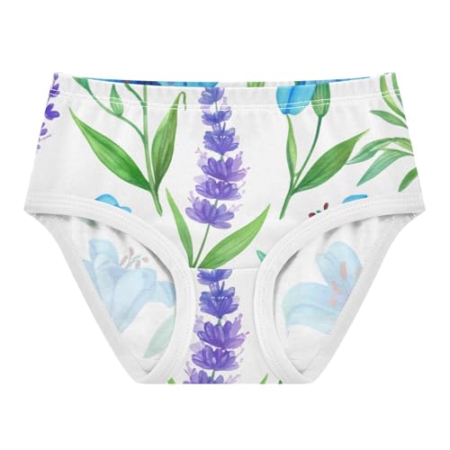 Toddler Girls Underwear 2t Cotton Girl Panties Cute Print Briefs Underpants Blue Lilies Lavender White