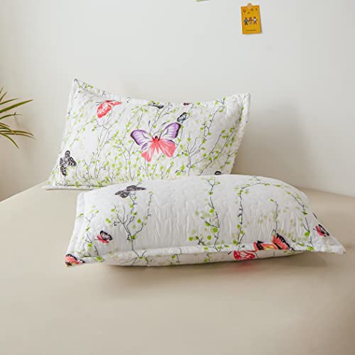 Lamejor Quilt Set Queen Size Butterfly Botanical Pattern 3-Piece Coverlet Set Bedspread Comforter Set Bed Cover Soft Lightweight White #TOP4
