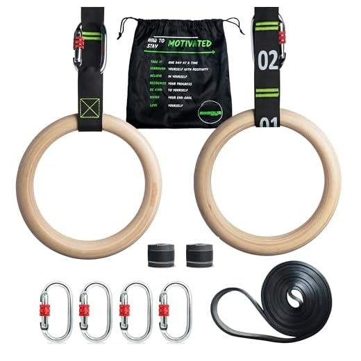 awegym Gymnastic Rings with Adjustable Straps, 1.1" Olympic Rings, Calisthenics Rings Exercise Equipment, Gym Rings for Full Body Workout, Home, Outdoor, Crossfit Garage Pull Up Rows Training